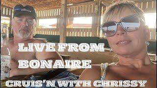 Live from Bonaire…..Beach Talk️