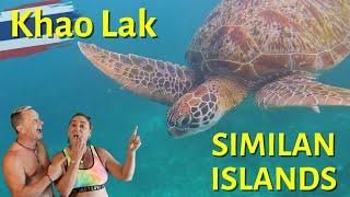 Snorkeling in the Similan Islands: A Day Trip Adventure - Things to do in Khao Lak - Phuket Day Trip