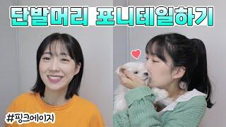 단발머리 포니테일하기｜핑크에이지, 포니테일가발, 거지존탈출, 숱없는머리 추천 [나나나시스터즈]