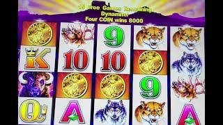 4 Coin Trigger @ $8 Bet! OMG!   Buffalo Slot Machine Bonus!