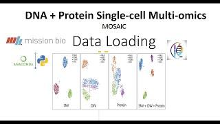 DAb seq: Tutorial 01: Single-Cell DNA + Protein Analysis Using Mission Bio's Tapestri Platform