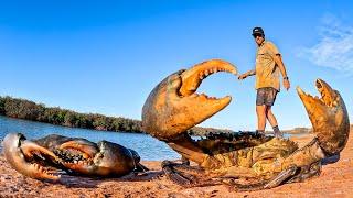 GIANT MUD CRAB CATCH AND COOK - NO FOOD