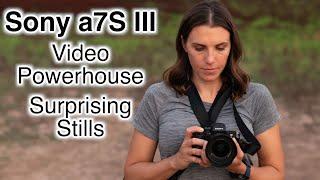 Sony a7S III Review - A Video Powerhouse with Surprising Stills Capability!