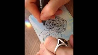 Drawing TriRose tangle pattern by Alena light