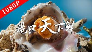 《老广的味道》第八季 第2集 港口天下鲜｜1080P 穿梭在海洋与陆地品尝海的鲜甜！