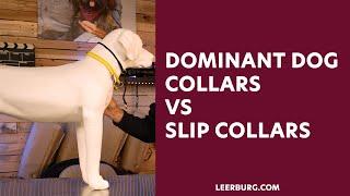 Dominant Dog Collars vs Slip Collars