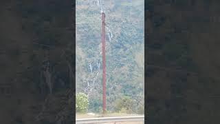 Day 23 Shri Mata Vaishno Devi Katra To Patnitop By Bus #vaishnodevi #ytshorts