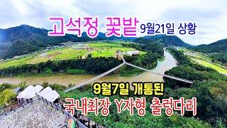 철원고석정 꽃밭의 9월21일 모습과  포천에 새로 들어선 국내 최장 Y자형 출렁다리를 소개합니다 #철원고석정꽃밭 #고석정  #포천출렁다리 #포천경관생태단지#포천Y자형출렁다리