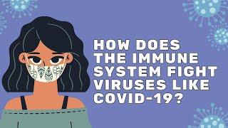 How Does the Immune System Fight Viruses like COVID-19? | Mission Unstoppable