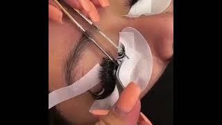 Wholesale eyelashes private label volume fans lashes individual eyelash extension baisi lashes