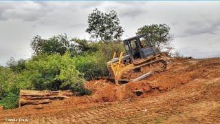 Star new Loading With Shantui Bulldozer Pushing Stones tree Filling clearing Forest​​​ and grass