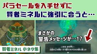 【ティアキン】パラセールを入手せずに賢者ミネルに強引に会うと…まさかの警告メッセージが…！？ゲームに隠れた細かすぎる小ネタ集【ゼルダの伝説 ティアーズ オブ ザ キングダム】@レウンGameTV