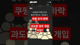 쿠팡 주가 하락, 과도한 정부 개입 이유?