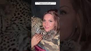 Poor little leopard lost his mother and was adopted by a girl.