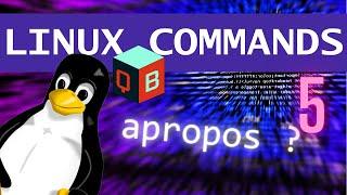 type, which, help, man, apropos, info, whatis, alias commands in Linux/Unix