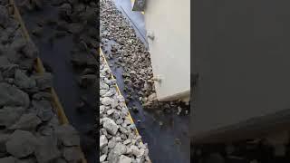 Kensan Belt Conveyor Ленточный Конвейер
