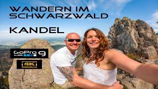 Wandern im Schwarzwald auf dem Kandel - Josef Sieger Weg - GoPro9 4K