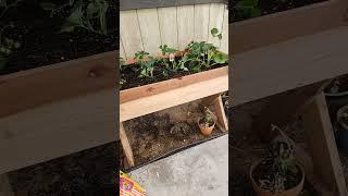 Easy to build raised planter box. This is a prototype for more to come!