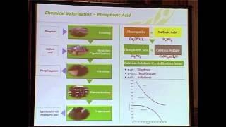 Overview of the phosphate industry