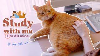 STUDY WITH ME 1:30 hr, with music, orange cat | Raveeoftitans