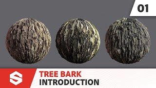 Tree Bark - Introduction | Adobe Substance 3D