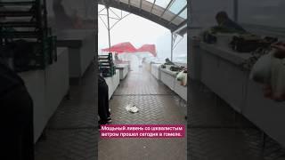  Мощный ливень со шквалистым ветром прошел сегодня в Гомеле #новости #беларусь
