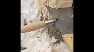 Lynx 3' One man crosscut saw. Diseased sugar maple..