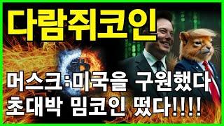 다람쥐코인 전문가머스크 직접 언급! 초대박 밈코인으로 수익 극대화!!!