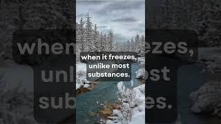 Why ICE Floats & Rocks SINK: Mind-Blowing Science Fact!