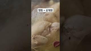 캠핑은 삼계탕이지 #shorts #캠핑 #삼계탕