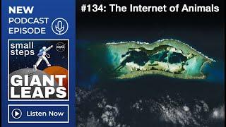 Podcast Episode 134: The Internet of Animals