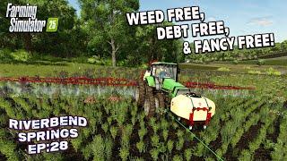 BIG IDEAS DON'T COME CHEAP!? ON Riverbend Springs #28 | Farming Simulator 25.