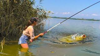 ТАКОГО ВЫ НЕ ВИДЕЛИ! ДИКИЙ САЗАН ЗАТАЩИЛ ДЕВУШКУ В ВОДУ! Сазан на боковой кивок. Рыбалка 2023