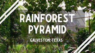 Rainforest Pyramid at Moody Gardens || Exploring Galveston, Texas