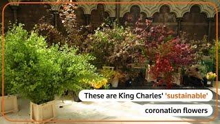 'Sustainable' flowers at King Charles’ coronation