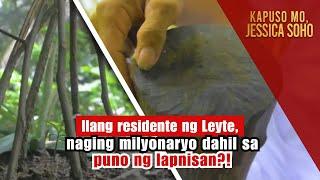 Ilang residente ng Leyte, naging milyonaryo dahil sa puno ng lapnisan?! | Kapuso Mo, Jessica Soho