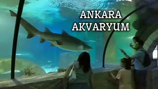 Aqua Vega Akvaryum | Ankara'da Gezilecek Yerler