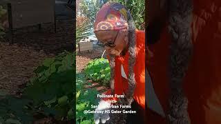 URBAN FARMERS POLLINATE FARM & SANKOFA URBAN FARMS @GatewaypublicschoolsOrg