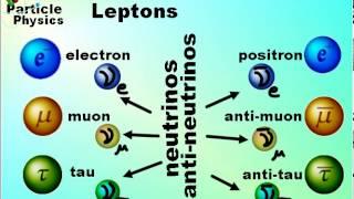 Particle Physics Leptons