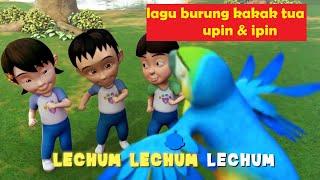 Burung Kakak Tua Upin & Ipin, lagu burung kakak tua upin dan ipin, burung kakak tua upin ipin