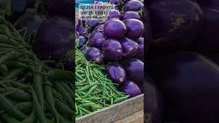 Green Chili Import to Dubai | Qezla Exports +919550193271