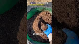 厨余垃圾堆肥的补充碳料推荐《发酵工程工艺原理》