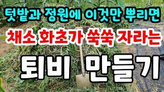 병든 토양에 이것만 뿌리면 식물이 쑥쑥 자라는 퇴비만들기 죽어가는 토양 살리기#유기농#친환경#무농약#미생물#유기물#텃밭#잡초#건강#시골#정원#전원생활#귀농#쪽파#김장배추밭#주말농장