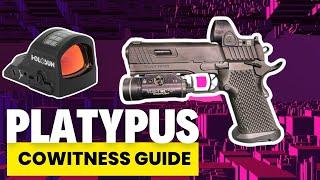 Stealth Arms 1911 Platypus Holosun RMR Red Dot Fitment Guide