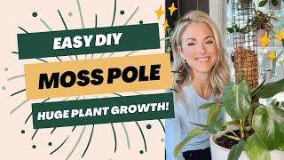 DIY Moss Pole for Huge Plant Growth