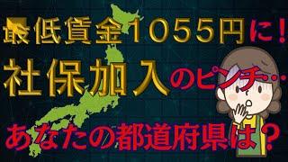 【超重要】扶養パートは社会保険加入で手取り激減？！週〇〇時間以上で最適解！！全国最低賃金アップの影響は？１円でも多く稼ぐなら？？