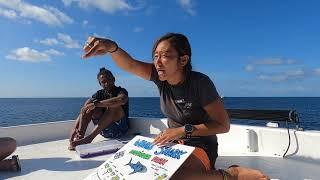 몰디브에서 신혼여행 다이빙 자격증 따기 (고래상어 설명해주는 다이빙 코치 선생님 ) A diver instructor explains how to see whale shark