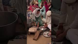 #gurbani sewa Shri darbar sahib Amritsar
