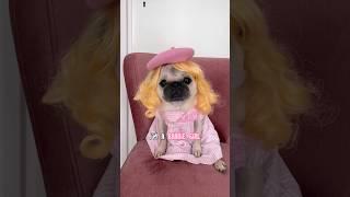 What if Loulou was a WORKING BARBIE? ‍ #pug #dog #barbie