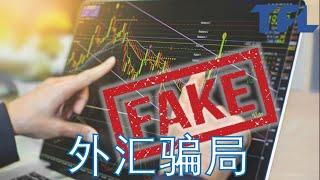 【外汇骗局！】【Scam Alert！】如何识破外汇骗局?? 外汇骗局都有哪些特征？